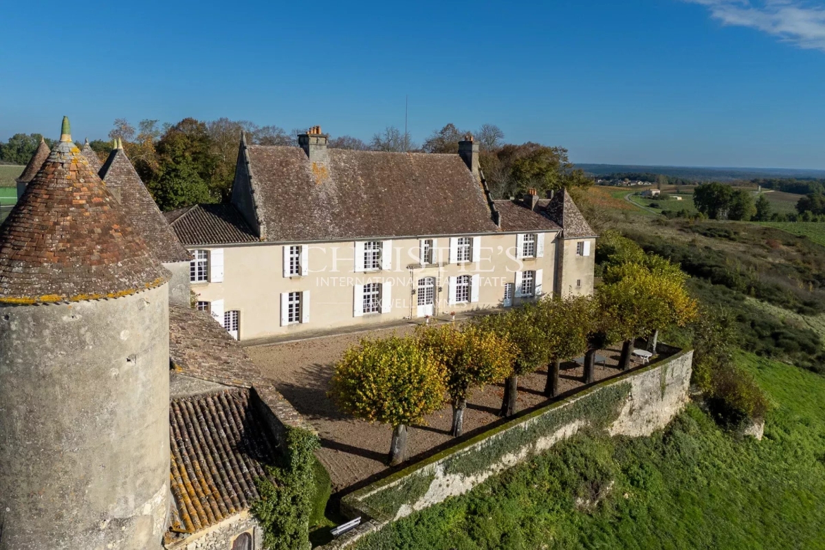 Maison de luxe à vendre à Castillon-la-Bataille, 5 538 000 €, Photo 3