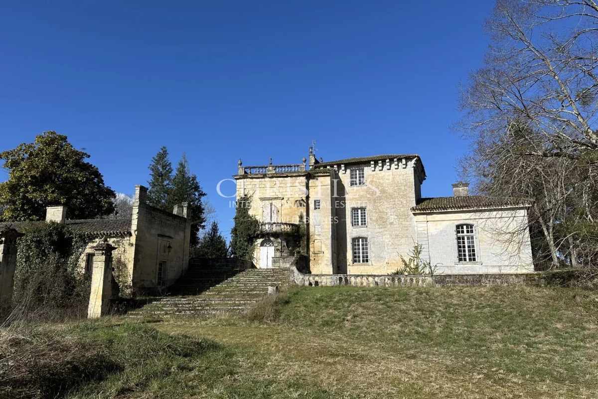 Maison de luxe à vendre à Lussac, 1 290 000 €, Photo 3