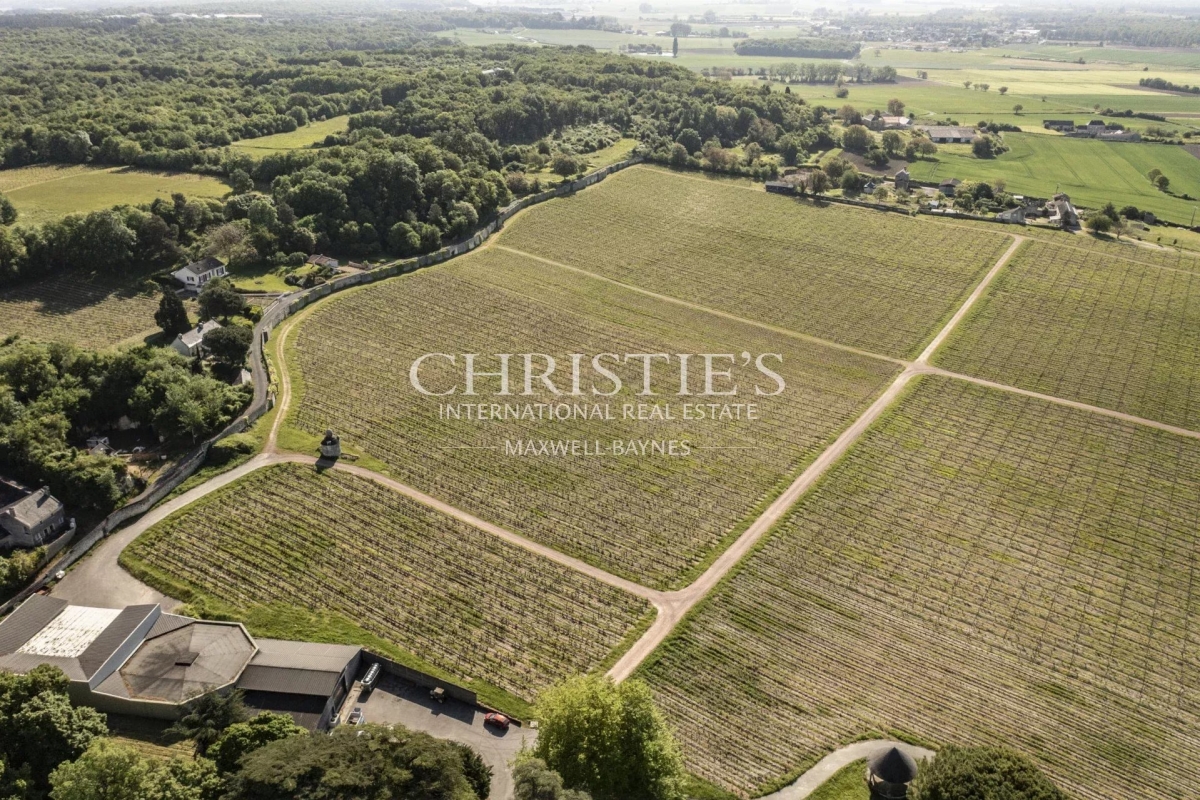 Maison de luxe à vendre à Saumur, 4 260 000 €, Photo 3