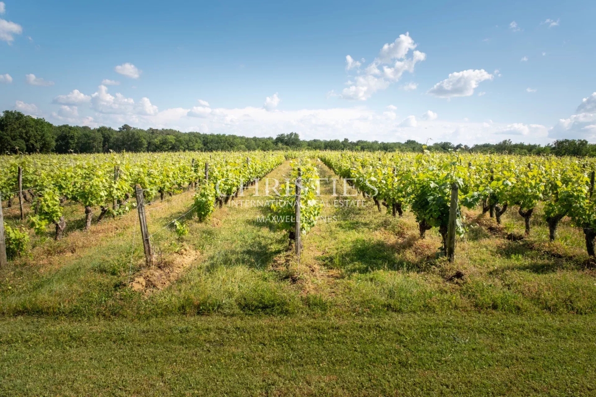 Maison de luxe à vendre à Saumur, 3 400 000 €, Photo 4