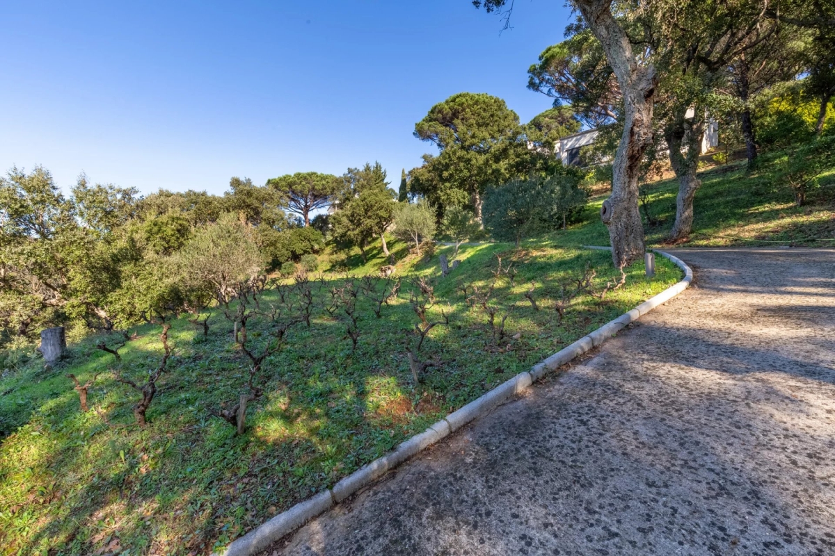 Luxury House for sale in La Croix-Valmer, 3 800 000 €, Photo 5