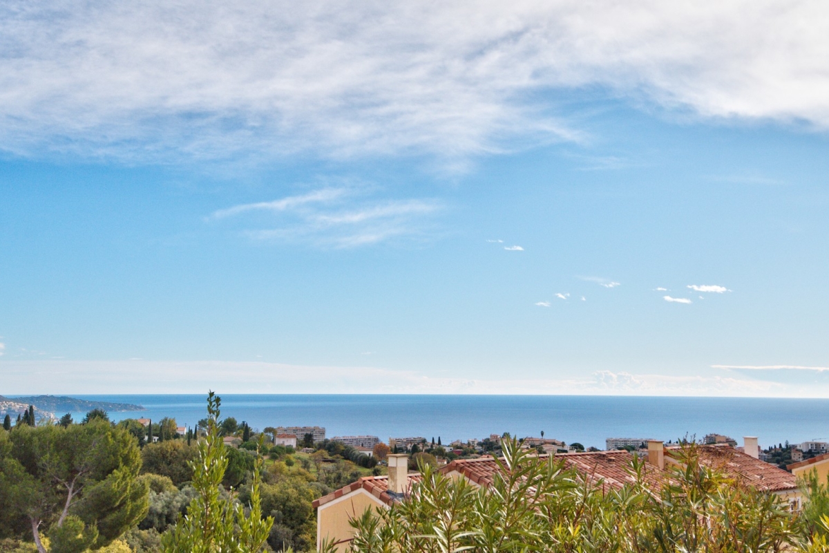 Luxury House for sale in Nice, 5 400 000 €, Photo 3