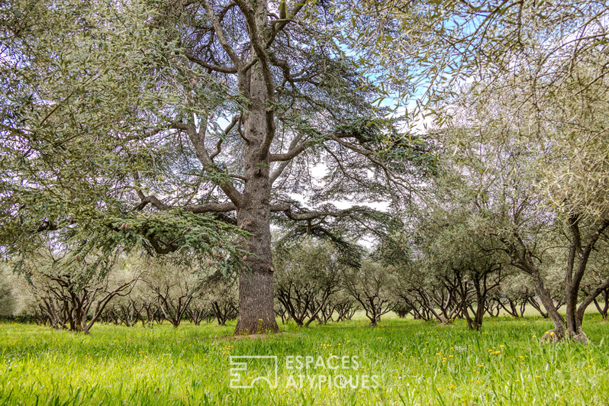 Maison de luxe à vendre à Puget-Ville, 2 200 000 €, Photo 5