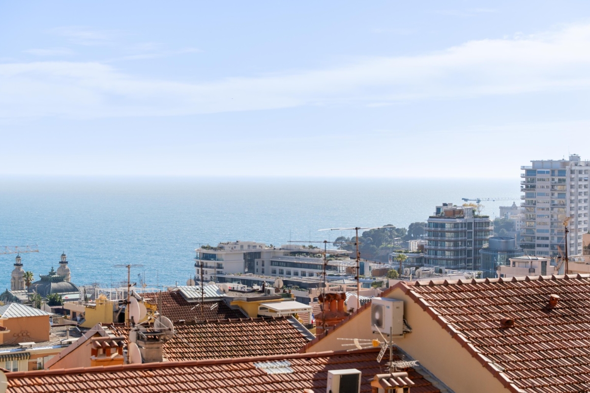 Maison de luxe à vendre à Beausoleil, 775 000 €, Photo 3