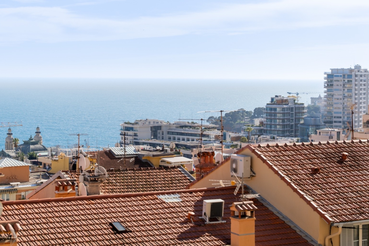 Maison de luxe à vendre à Beausoleil, 775 000 €, Photo 3