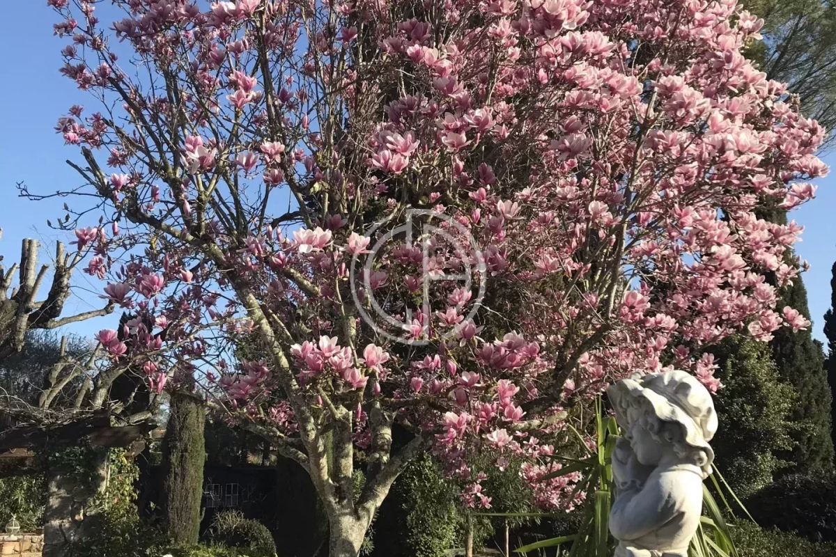 Maison de luxe à vendre à Mougins, 1 285 000 €, Photo 6