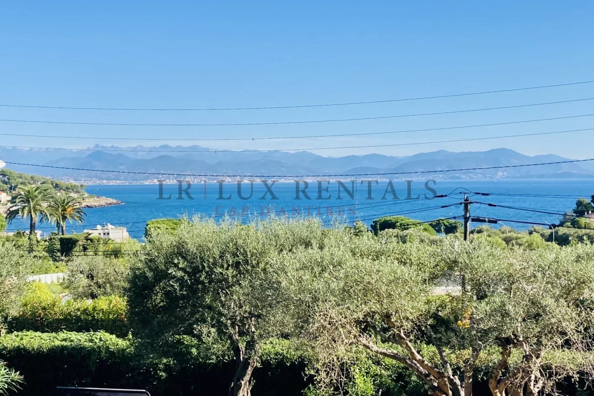 Maison de luxe à vendre à Cap d'Antibes, 4 950 000 €, Photo 5