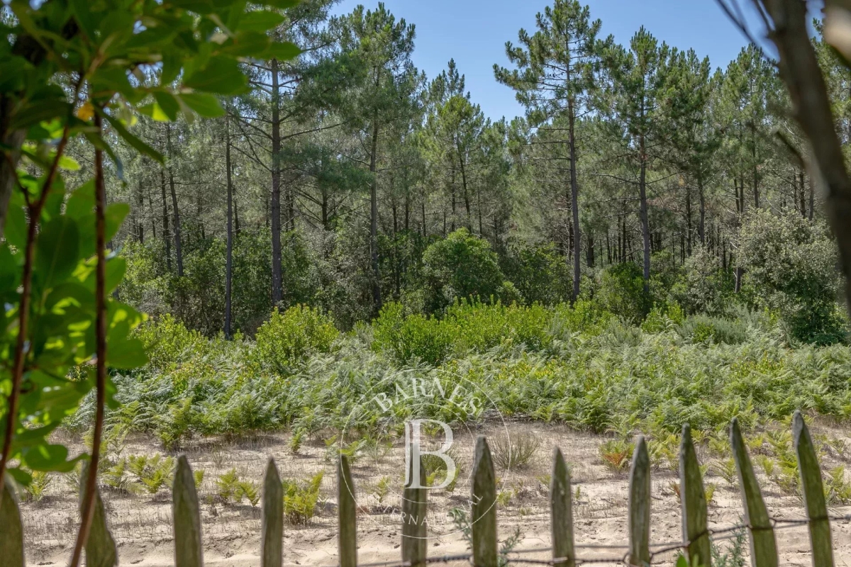Maison de luxe à vendre à Lege Cap Ferret, 1 995 000 €, Photo 3