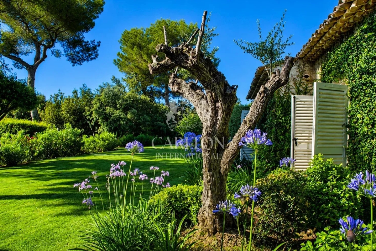 Luxury House for sale in Saint-Paul-de-Vence, 3 475 000 €, Photo 3