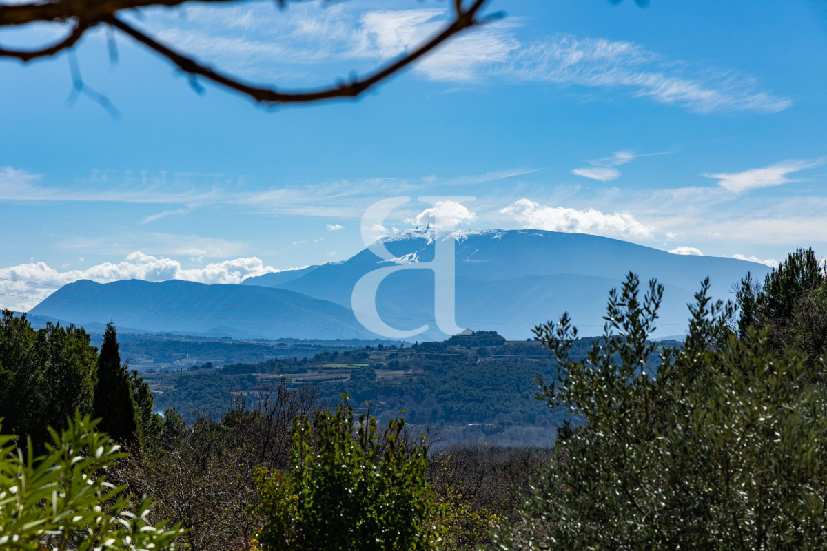 Maison de luxe à vendre à Vaison-la-Romaine, 895 000 €, Photo 3