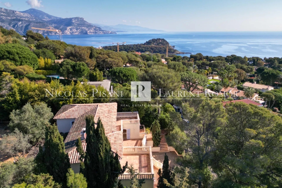 Maison de luxe à vendre à Saint-Jean-Cap-Ferrat, 12 600 000 €, Photo 3