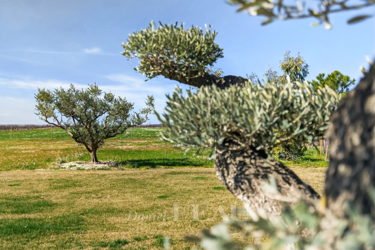Maison de luxe à vendre à Cucuron, 2 995 000 €, Photo 4