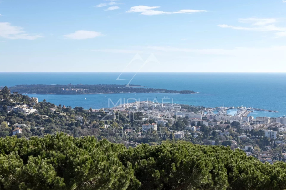 Maison de luxe à vendre à Cannes, 3 960 000 €, Photo 7