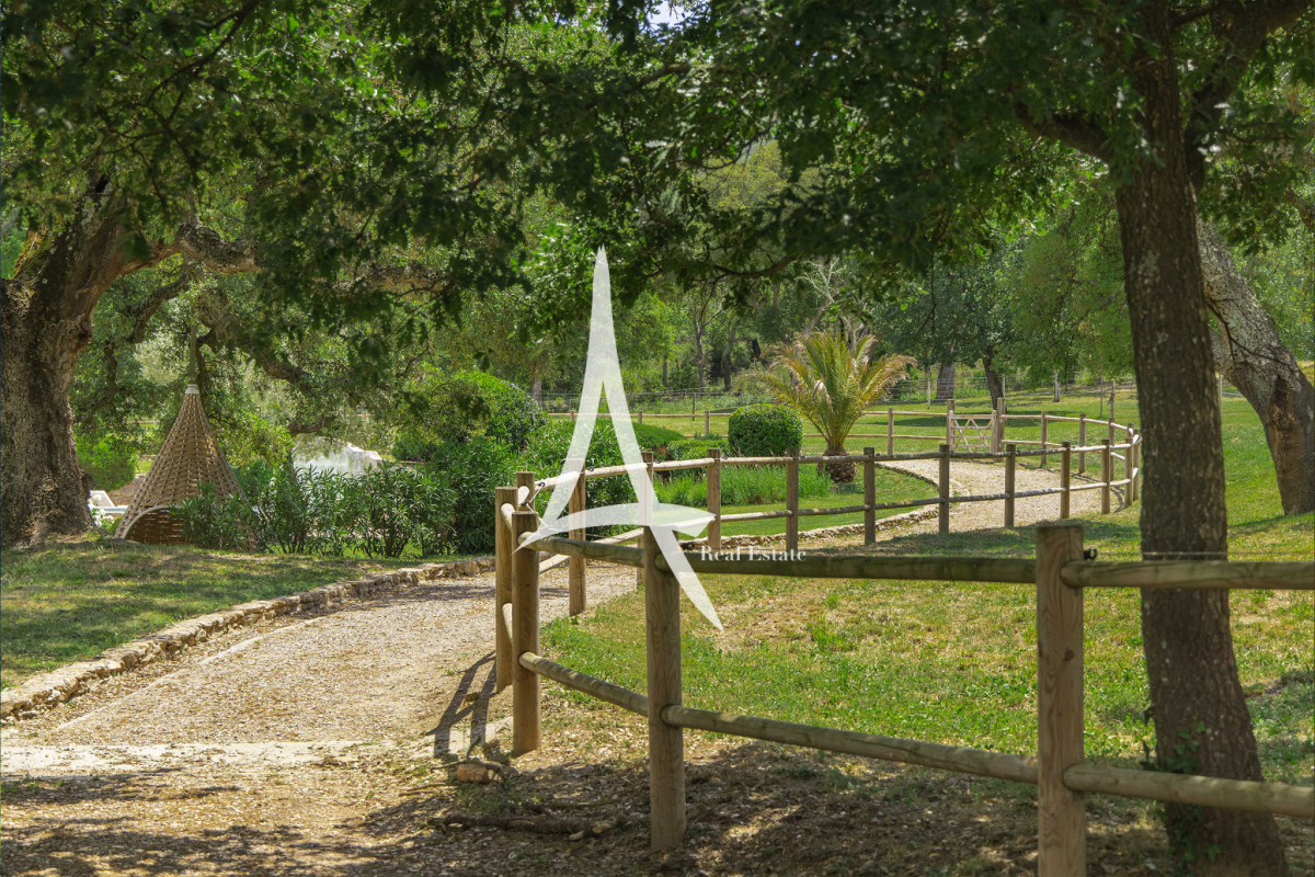 Maison de luxe à vendre à Saint-Tropez, 7 900 000 €, Photo 4