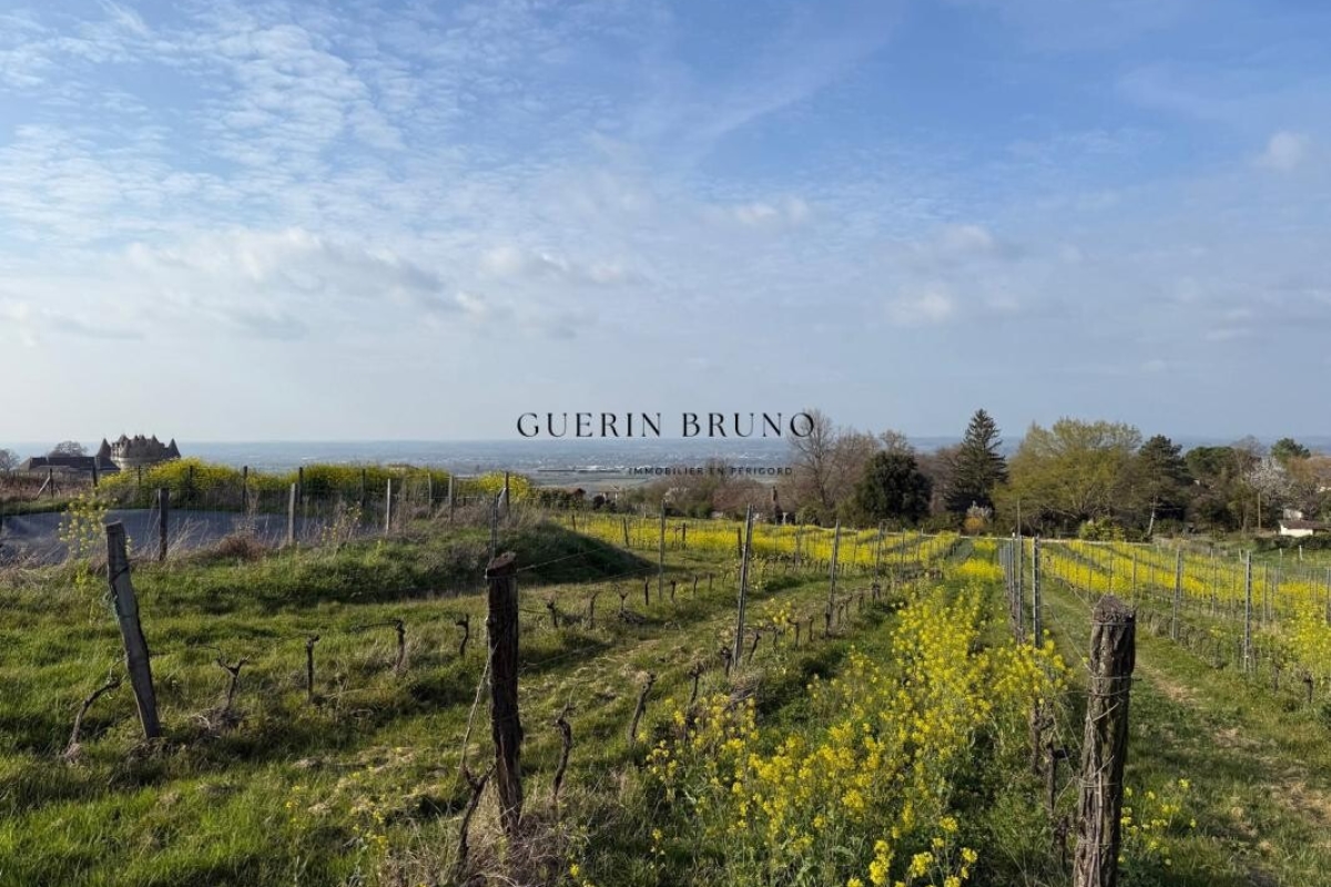 Maison de luxe à vendre à Monbazillac, 671 000 €, Photo 6