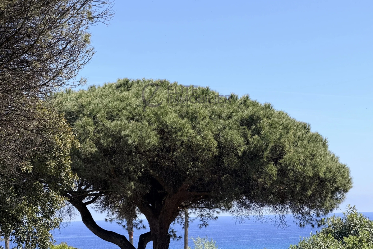 Maison de luxe à vendre à Ramatuelle, 4 095 000 €, Photo 1