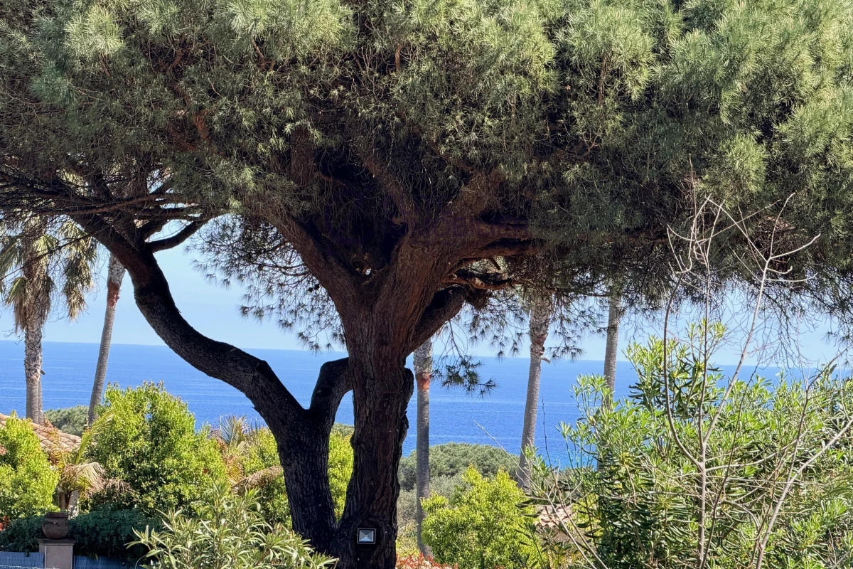 Maison de luxe à vendre à Ramatuelle, 4 095 000 €, Photo 6