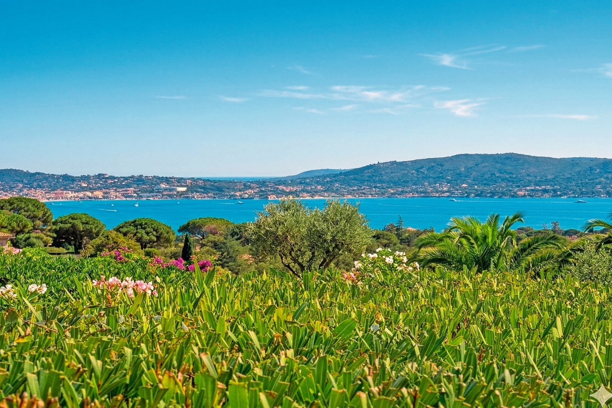 Luxury House for sale in Grimaud, 3 150 000 €, Photo 3
