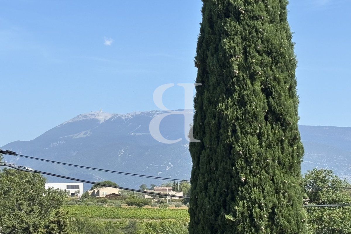 Maison de luxe à vendre à Vaison-la-Romaine, 954 000 €, Photo 3