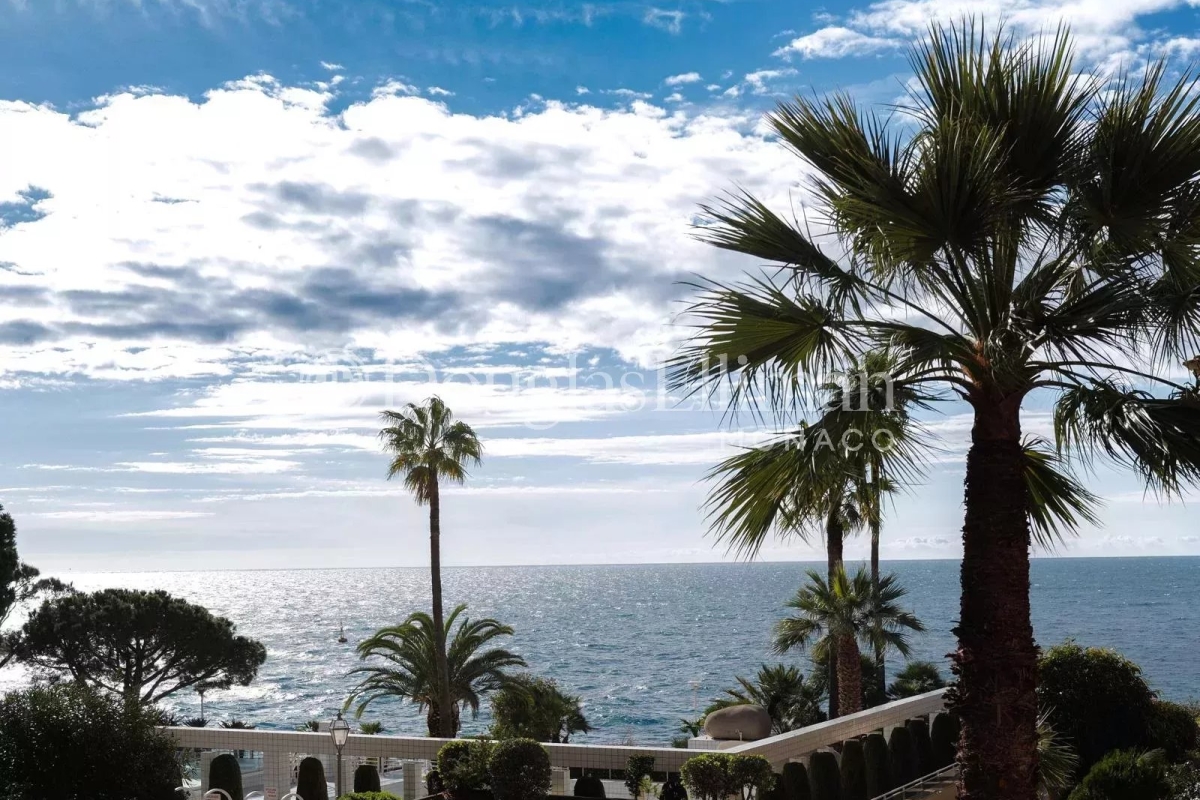 Appartement de luxe à vendre à Monaco, 16 000 000 €, Photo 2