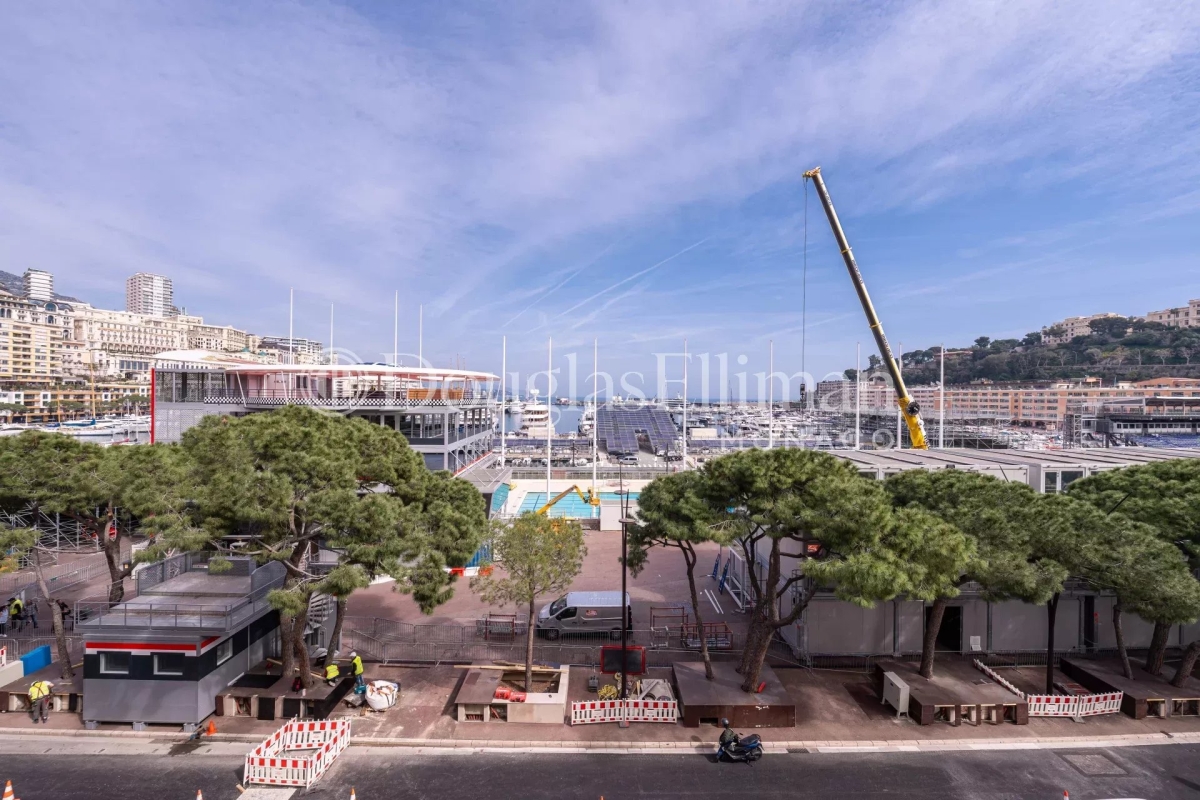 Appartement de luxe à vendre à Monaco, 4 250 000 €, Photo 3