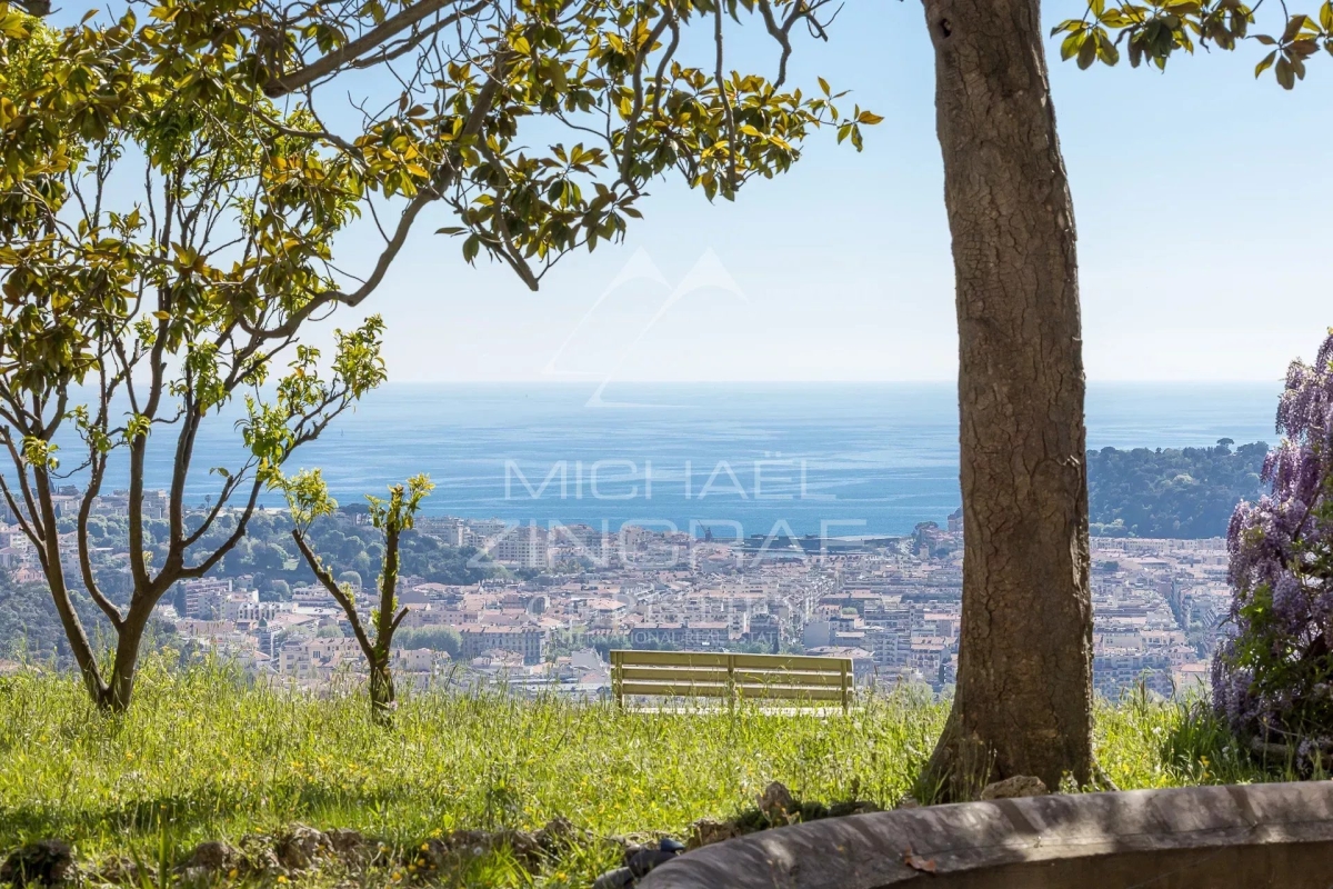 Maison de luxe à vendre à Nice, 11 750 000 €, Photo 4