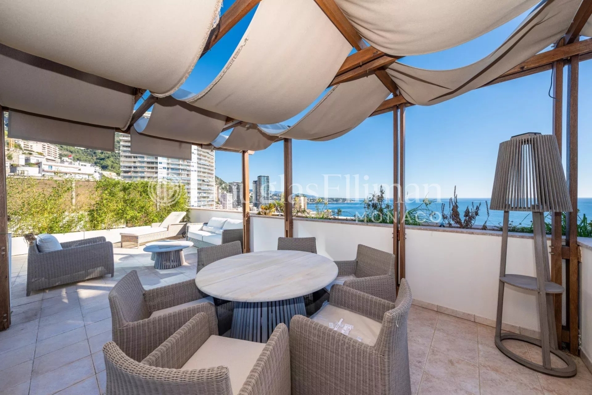 Appartement de luxe à vendre à Monaco, 17 500 000 €, Photo 5