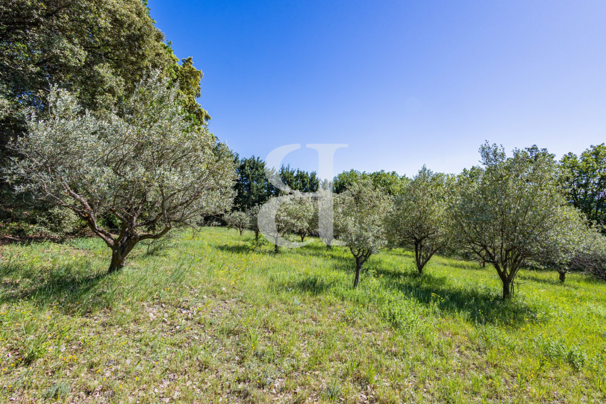 Maison de luxe à vendre à Vaison-la-Romaine, 879 000 €, Photo 7