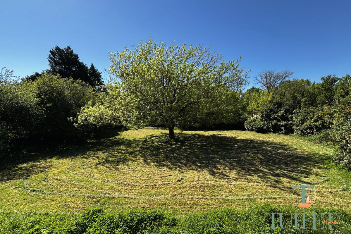 Maison de luxe à vendre à Breuillet, 530 000 €, Photo 3
