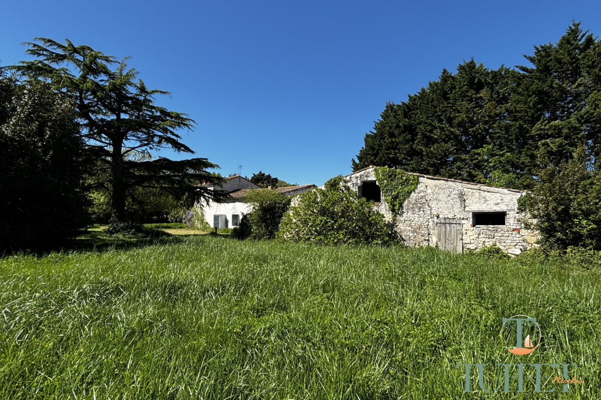 Maison de luxe à vendre à Breuillet, 530 000 €, Photo 6