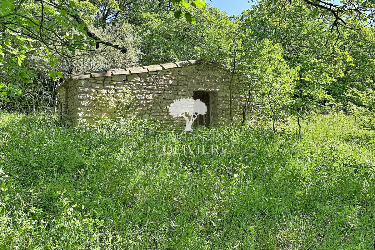 Luxury House for sale in Saignon, 645 000 €, Photo 3