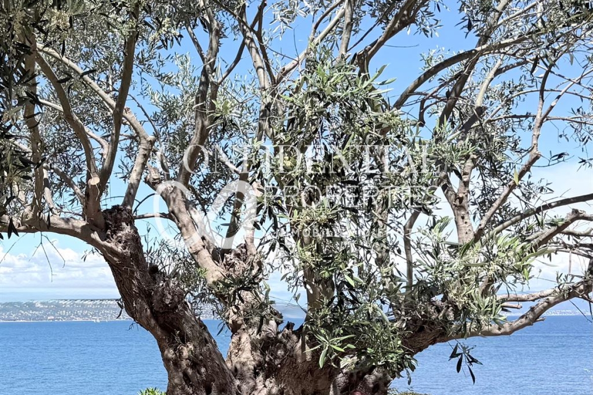 Maison de luxe à vendre à Saint-Tropez, 35 000 000 €, Photo 3