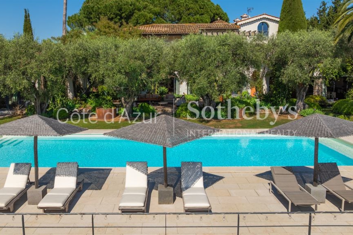Maison de luxe à vendre à Plascassier, 6 900 000 €, Photo 3