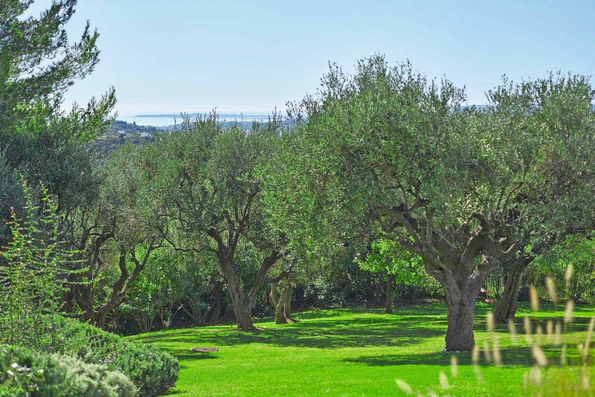 Luxury House for sale in Nice, 2 800 000 €, Photo 2