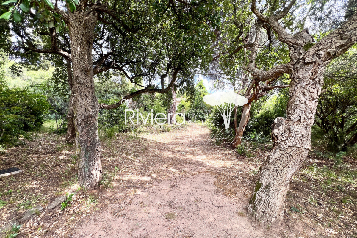 Maison de luxe à vendre à Gassin, 2 250 000 €, Photo 6