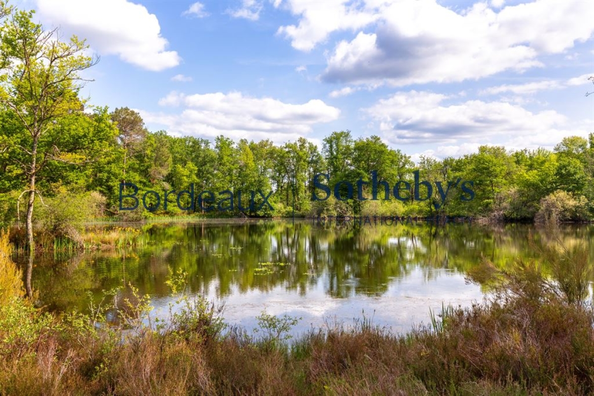 Luxury House for sale in Bordeaux, 1 340 000 €, Photo 7