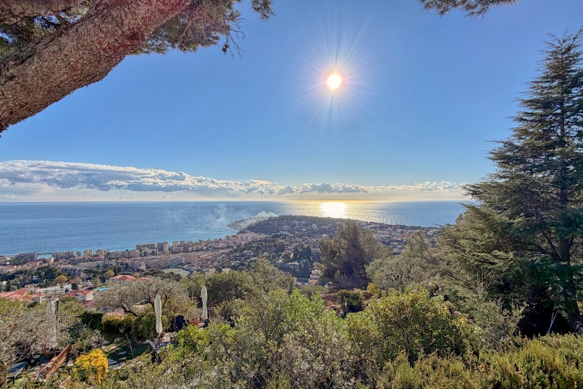 Luxury House for sale in Roquebrune-Cap-Martin, 5 950 000 €, Photo 5