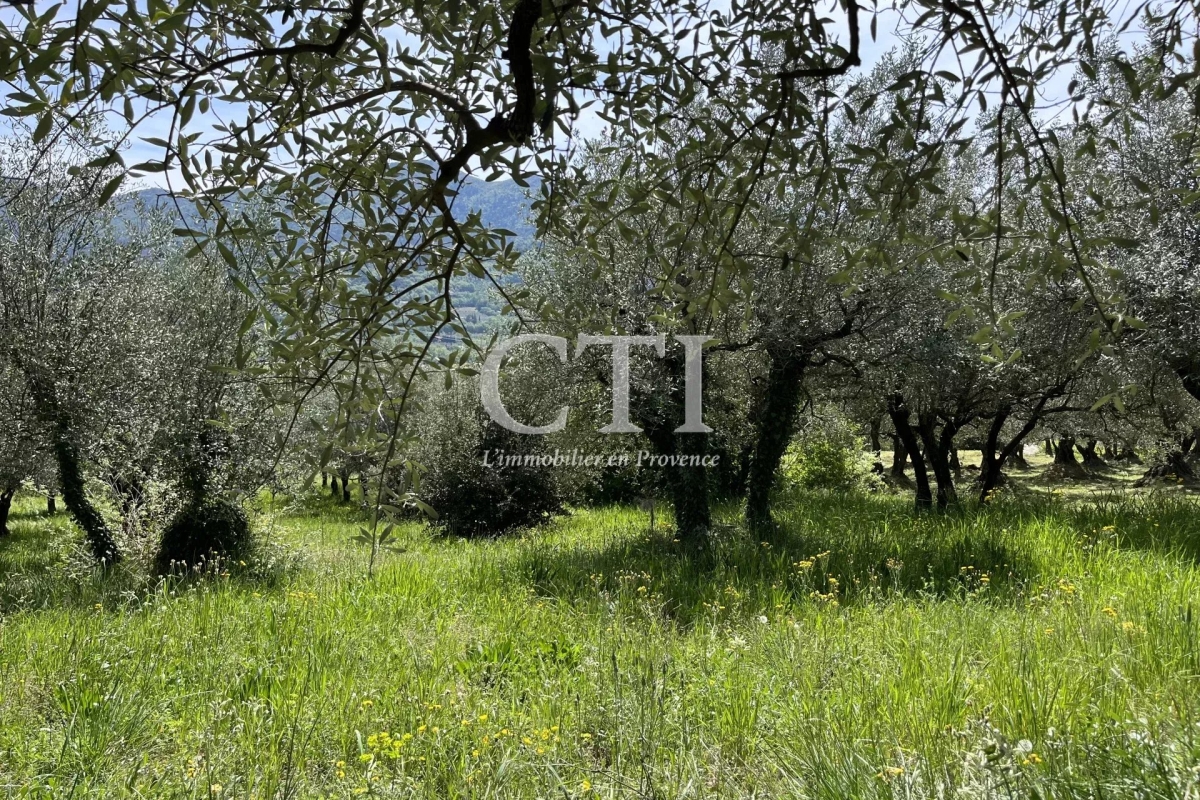 Maison de luxe à vendre à Vaison-la-Romaine, 693 000 €, Photo 5