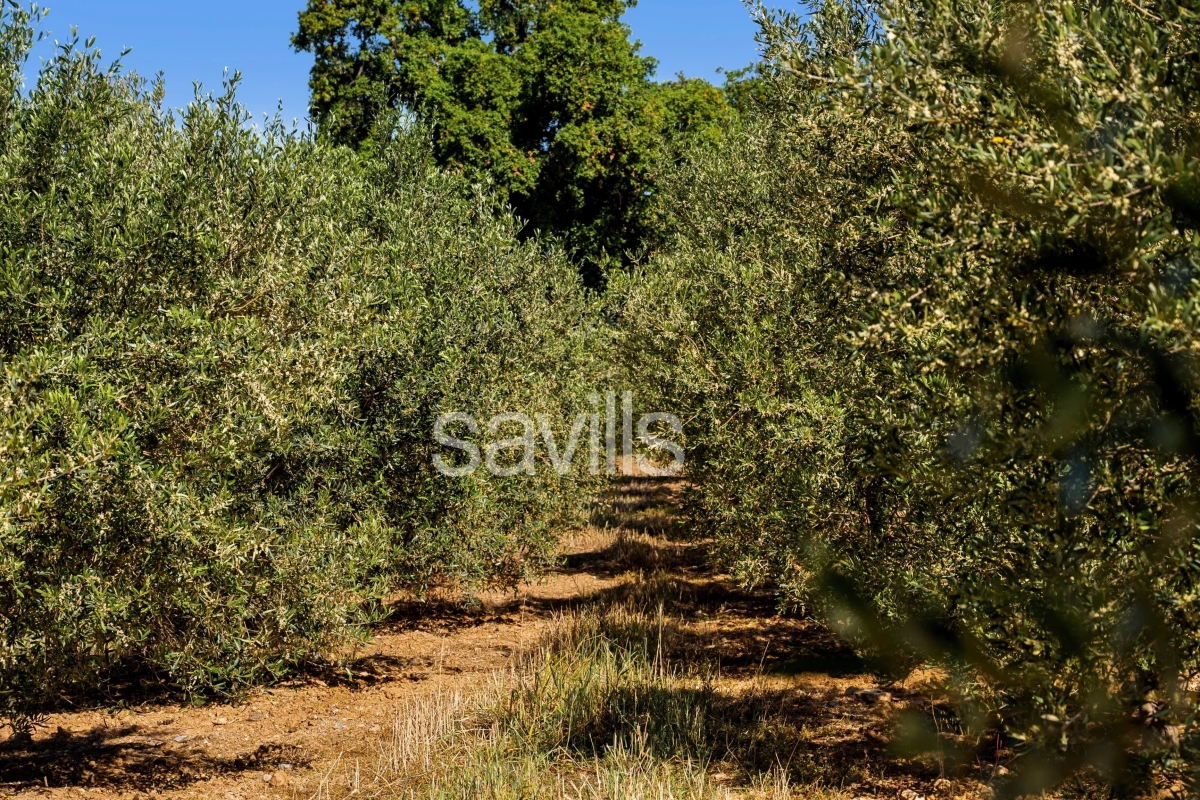 Maison de luxe à vendre à Sainte-Maxime, 3 490 000 €, Photo 3
