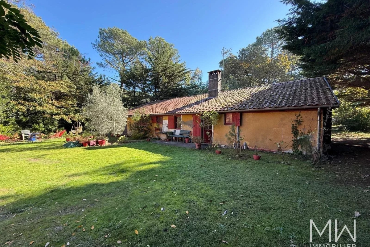 Maison de luxe à vendre à Lege Cap Ferret, 3 780 000 €, Photo 4