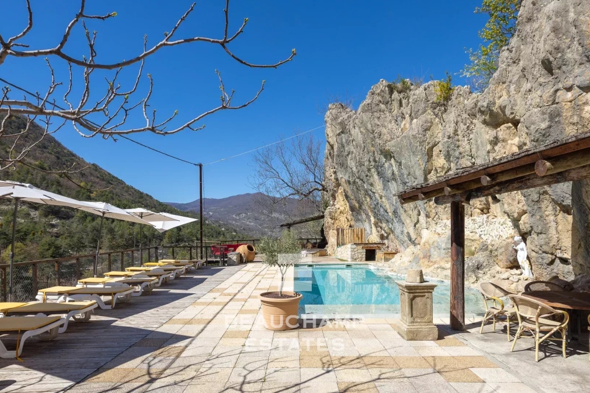 Maison de luxe à vendre à Digne-les-Bains, 3 995 000 €, Photo 3