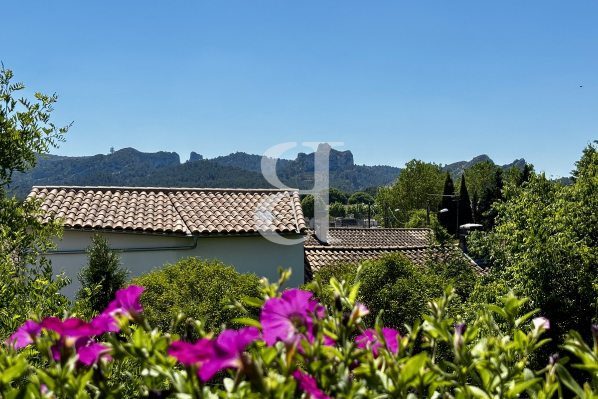Maison de luxe à vendre à Saint-Rémy-de-Provence, 1 095 000 €, Photo 1
