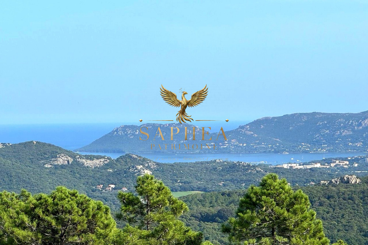 Maison de luxe à vendre à Porto-Vecchio, 2 300 000 €, Photo 7