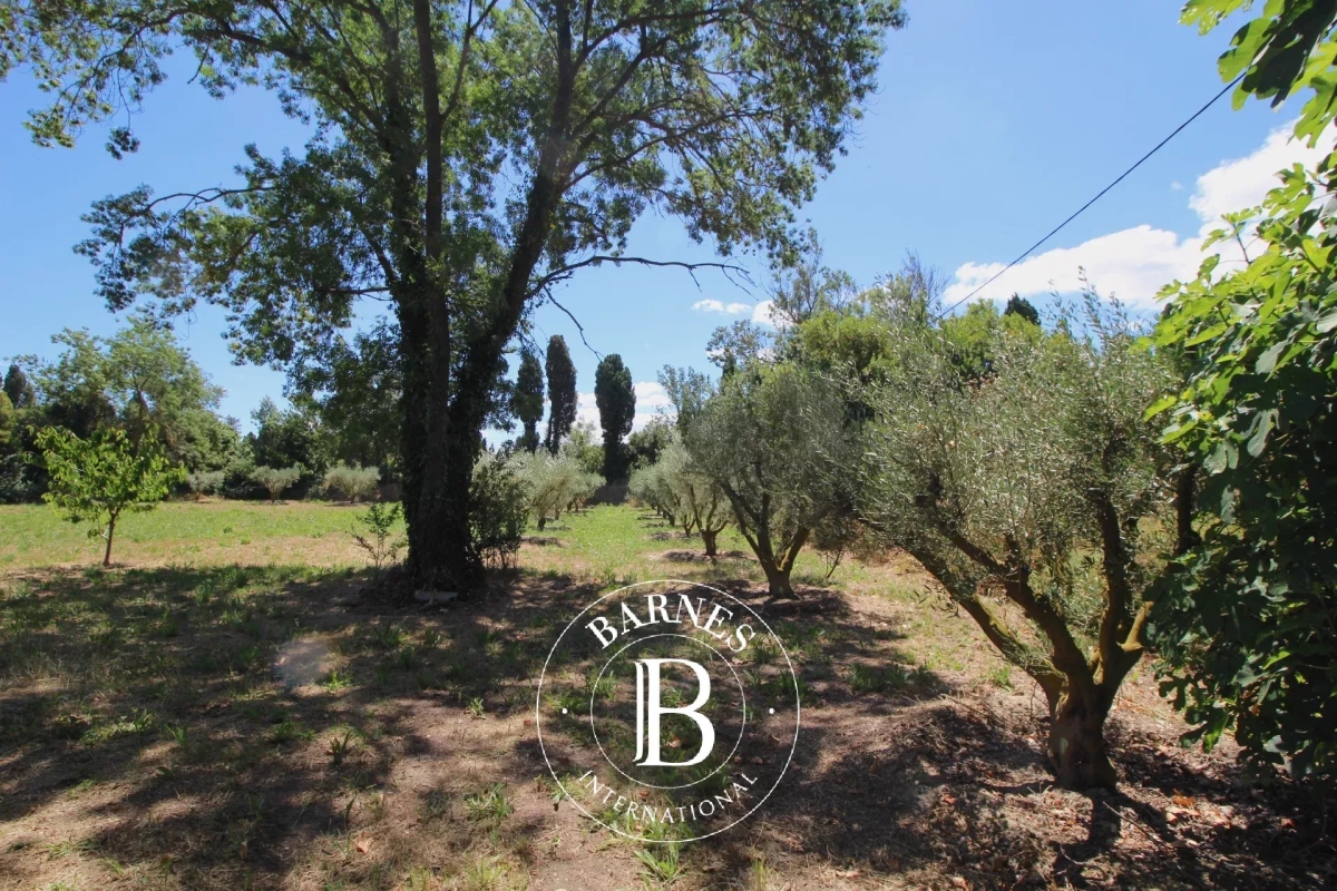 Maison de luxe à vendre à Saint-Rémy-de-Provence, 990 000 €, Photo 3