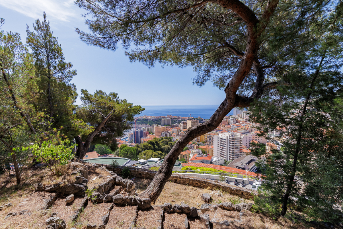 Maison de luxe à vendre à Beausoleil, 6 900 000 €, Photo 1