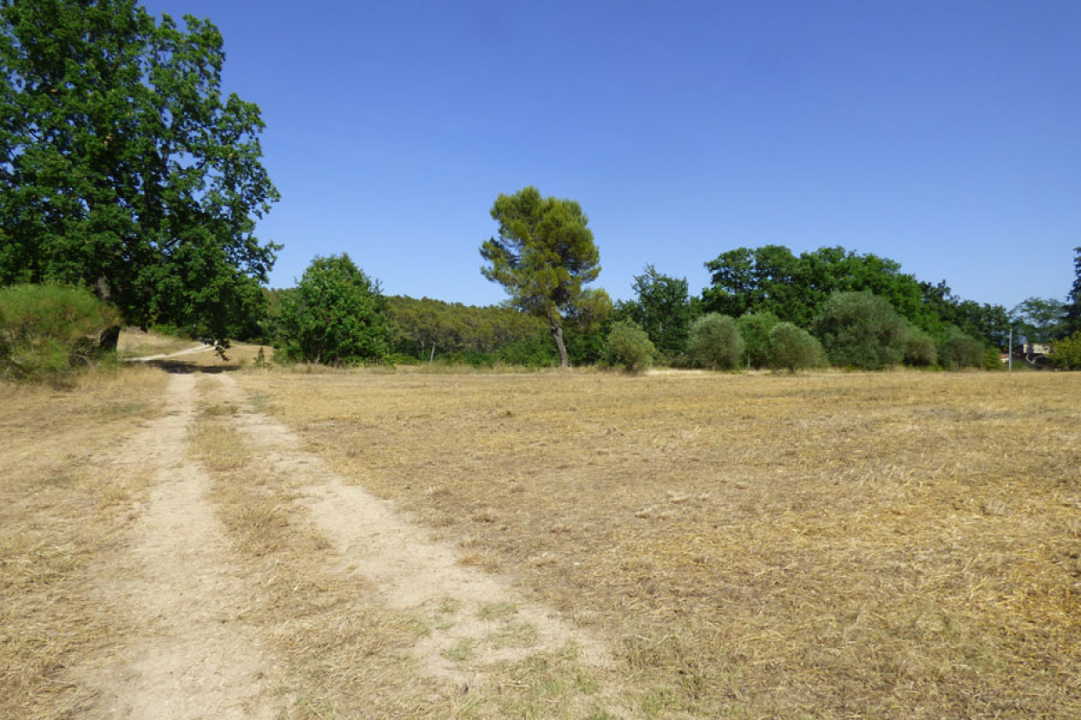 Maison de luxe à vendre à Fayence, 1 200 000 €, Photo 2