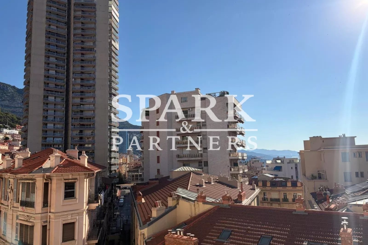 Appartement de luxe à louer à Monaco, 13 000 €, Photo 6