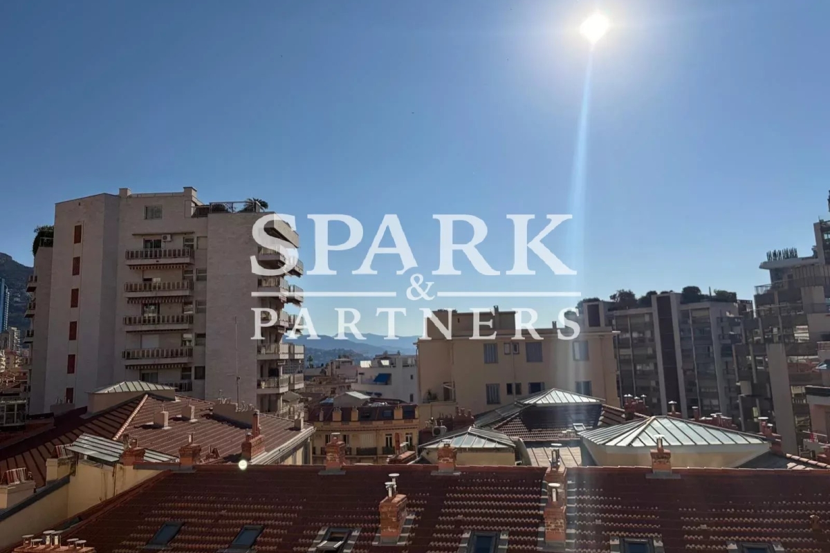 Appartement de luxe à louer à Monaco, 13 000 €, Photo 7