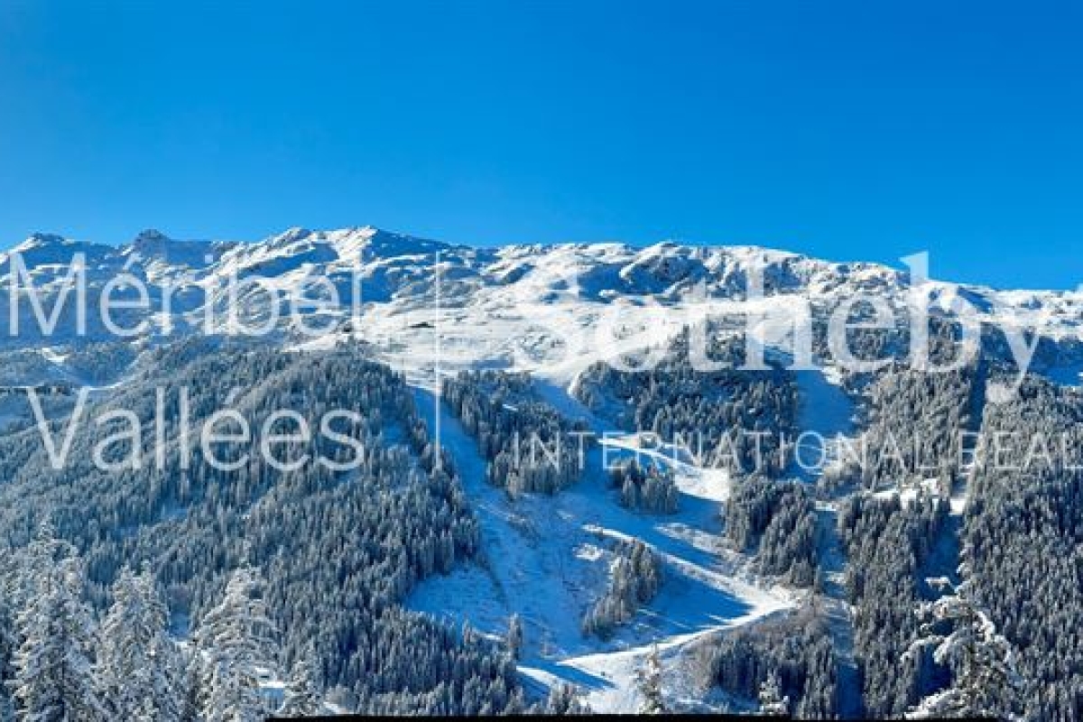 Luxury Apartment for sale in Meribel les Allues, 5 850 000 €, Photo 3