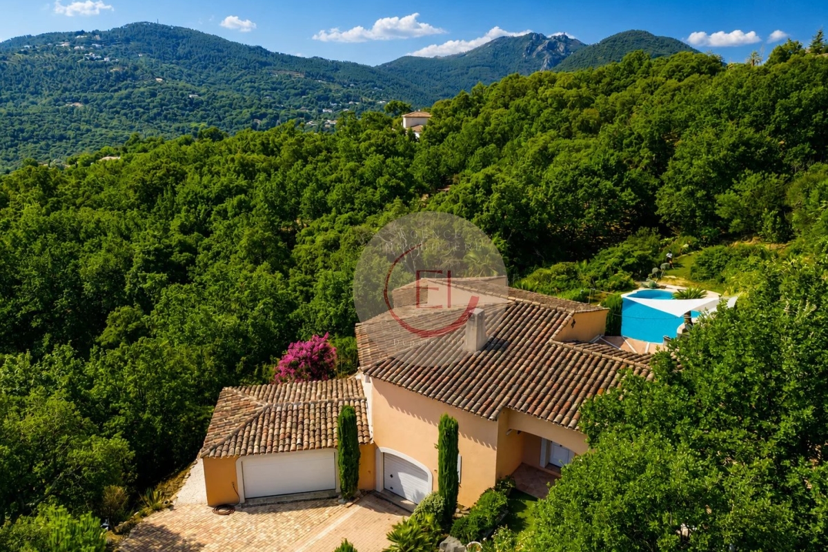 Maison de luxe à vendre à Les Adrets de l'Esterel, 1 380 000 €, Photo 4
